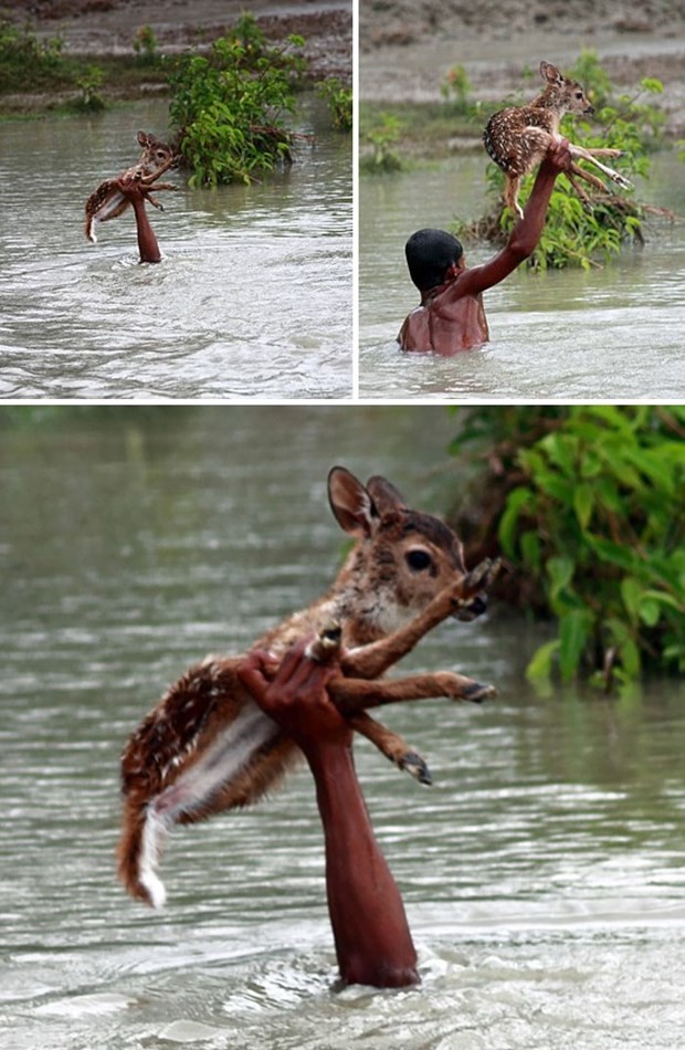 'İnsanlık ölmedi' dedirten fotoğraflar 4