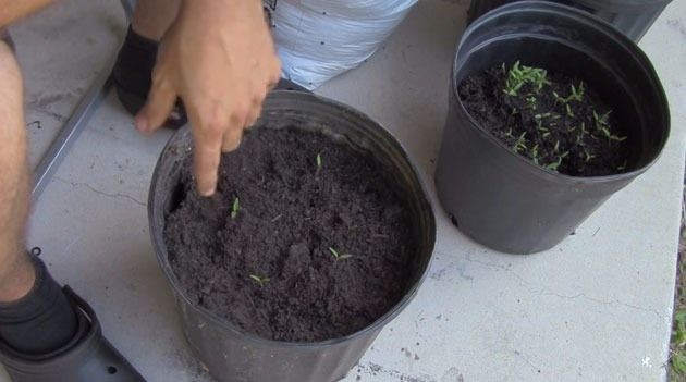 Dünyanın en ilginç bilgileri 14