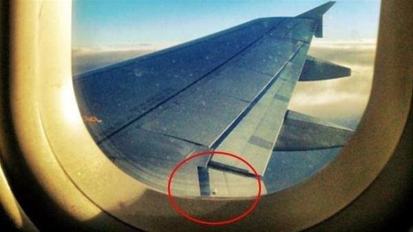 Dünyanın en ilginç bilgileri 3