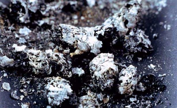 Dünyanın en ilginç bilgileri 39