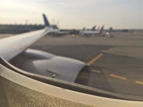 Dünyanın en ilginç bilgileri 4