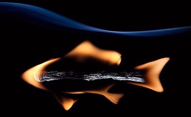 Dünyanın en ilginç bilgileri 41