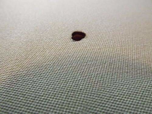 Dünyanın en ilginç bilgileri 68