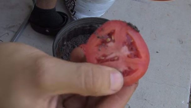 Dünyanın en ilginç bilgileri 7