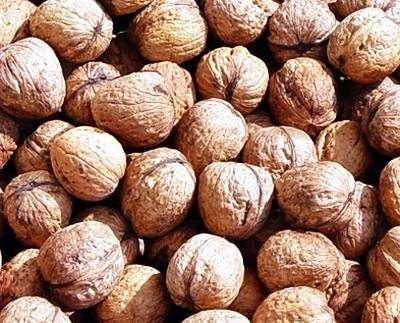 Dünyanın en ilginç bilgileri 80