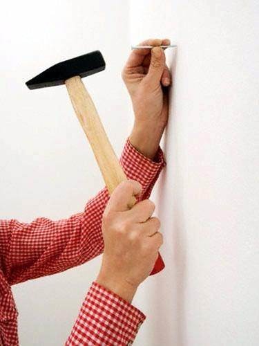 Dünyanın en ilginç bilgileri 81