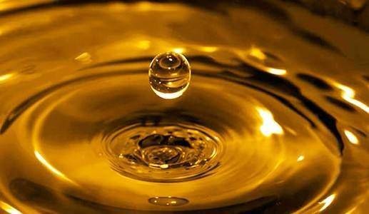 Dünyanın en ilginç bilgileri 82