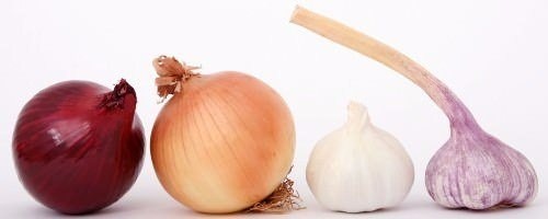 Dünyanın en ilginç bilgileri 93