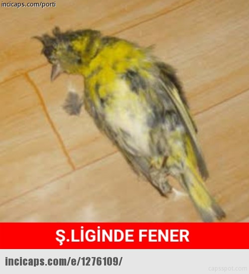 Monaco-Fenerbahçe maçı sonrası caps yağdı 27