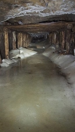 Gizemli tuvalet yıkıldı her şey ortaya çıktı 31