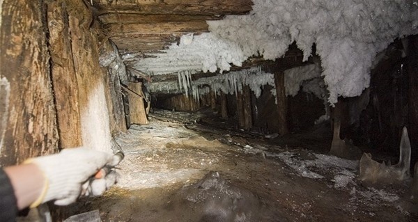 Gizemli tuvalet yıkıldı her şey ortaya çıktı 5