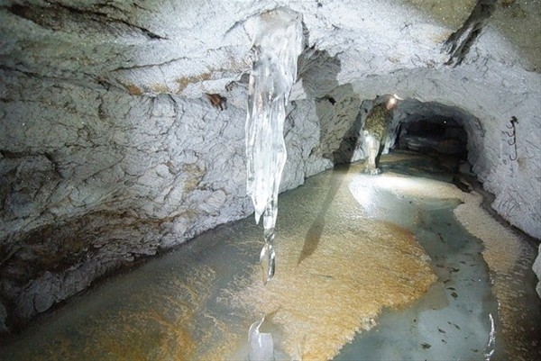 Gizemli tuvalet yıkıldı her şey ortaya çıktı 24