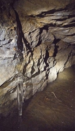 Gizemli tuvalet yıkıldı her şey ortaya çıktı 29