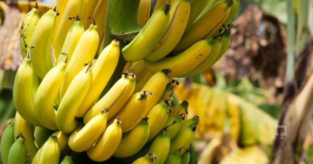 Yiyerek kilo vermenin yolları 7