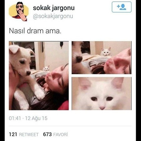 İşte gelmiş geçmiş en efsane tweetler! 42