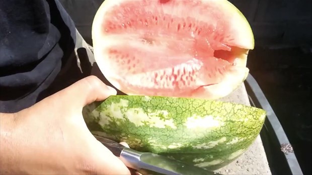 Erimiş bakırı karpuza dökünce bakın ne oldu 10