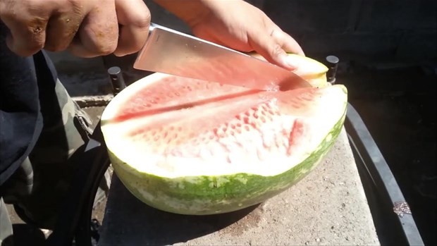 Erimiş bakırı karpuza dökünce bakın ne oldu 11