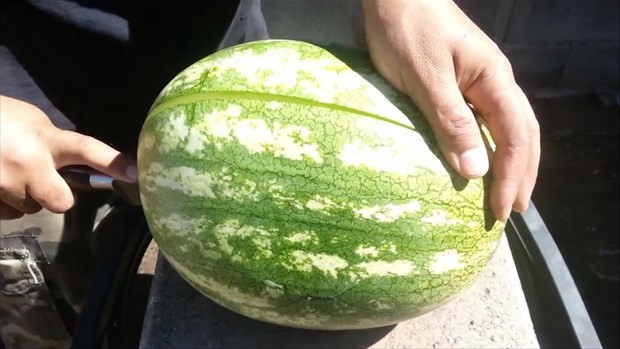 Erimiş bakırı karpuza dökünce bakın ne oldu 9