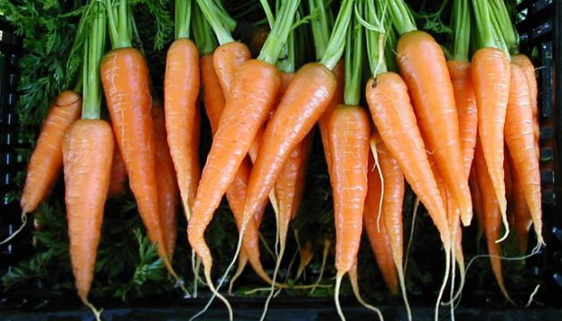 Gençleştiren 11 besin 7