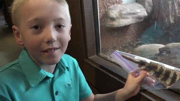 Meraklı baba-oğul çıngıraklı yılanın kuyruğunu açtı 7