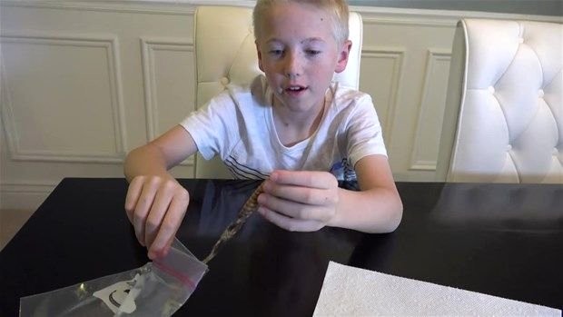 Meraklı baba-oğul çıngıraklı yılanın kuyruğunu açtı 12