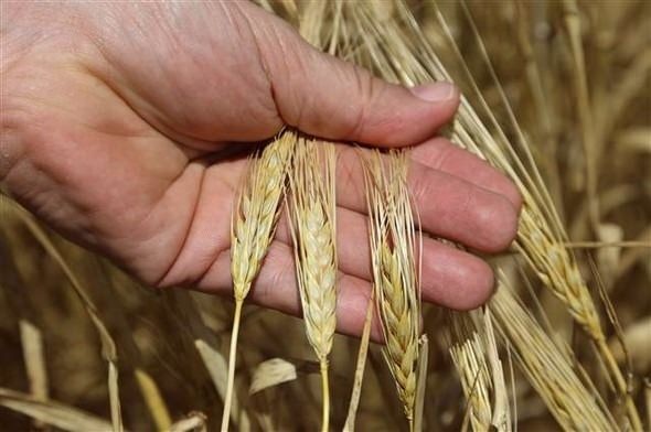 Türkiye'nin en büyük 100 şirketi 46