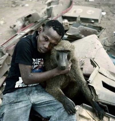 Afrika'nın vahşi evcil hayvanları dehşete düşürüyor 10