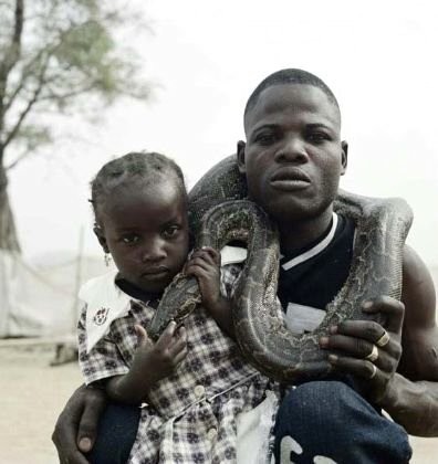 Afrika'nın vahşi evcil hayvanları dehşete düşürüyor 12