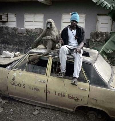 Afrika'nın vahşi evcil hayvanları dehşete düşürüyor 14