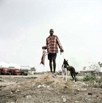 Afrika'nın vahşi evcil hayvanları dehşete düşürüyor 19