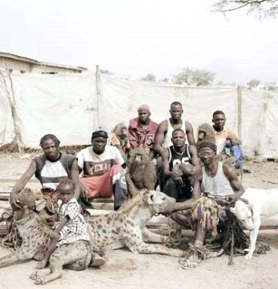 Afrika'nın vahşi evcil hayvanları dehşete düşürüyor 25