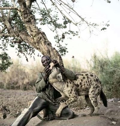 Afrika'nın vahşi evcil hayvanları dehşete düşürüyor 5