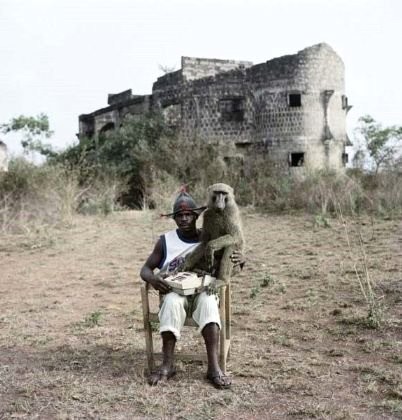 Afrika'nın vahşi evcil hayvanları dehşete düşürüyor 6