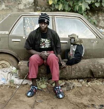 Afrika'nın vahşi evcil hayvanları dehşete düşürüyor 9