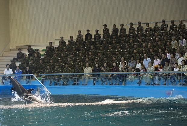 Kuzey Kore'nin dışarıya sızmasını istemediği fotoğraflar 10