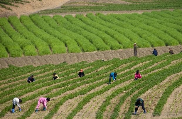 Kuzey Kore'nin dışarıya sızmasını istemediği fotoğraflar 3