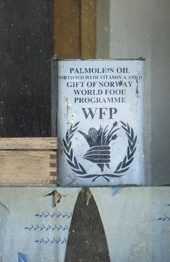 Kuzey Kore'nin dışarıya sızmasını istemediği fotoğraflar 35