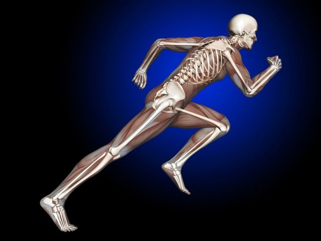 30'dan sonra kemikleri korumanın yolları 3