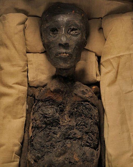 Tutankhamun'un sırlarla dolu gömütü 19