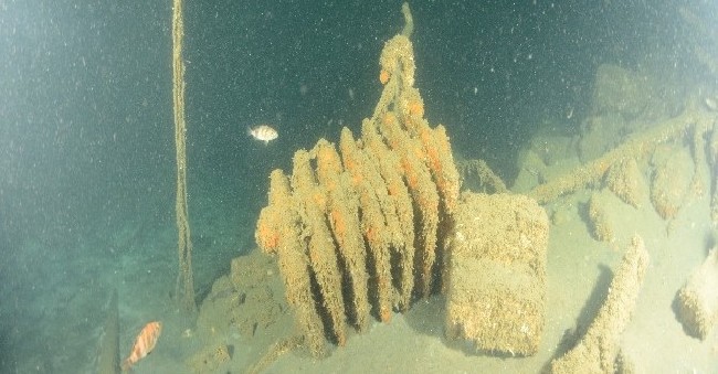 Su altında felaket müzesi 19