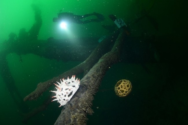 Su altında felaket müzesi 16