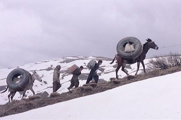 Ölmeden önce izlemeniz gereken 50 kült film 31