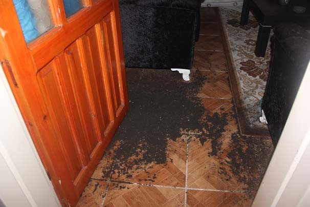 Gaziantep'teki patlamanın şiddeti gün ağarınca ortaya çıktı 7