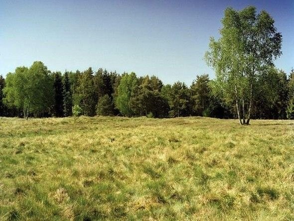 Dikkatli baksanız da bu keskin nişancıları göremezsiniz 13