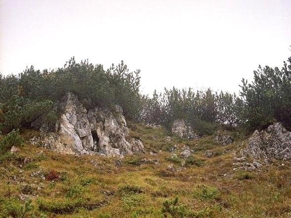 Dikkatli baksanız da bu keskin nişancıları göremezsiniz 19