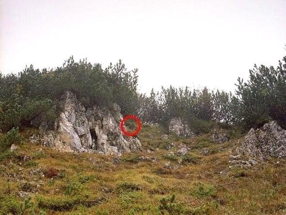 Dikkatli baksanız da bu keskin nişancıları göremezsiniz 20