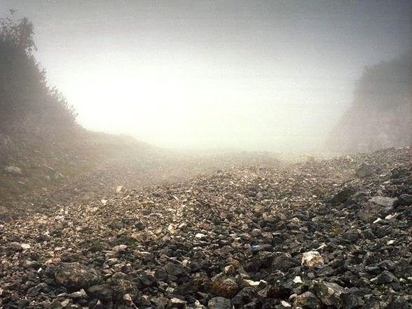 Dikkatli baksanız da bu keskin nişancıları göremezsiniz 21