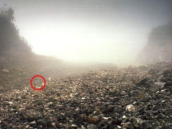 Dikkatli baksanız da bu keskin nişancıları göremezsiniz 22