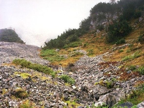 Dikkatli baksanız da bu keskin nişancıları göremezsiniz 27