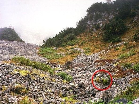 Dikkatli baksanız da bu keskin nişancıları göremezsiniz 28